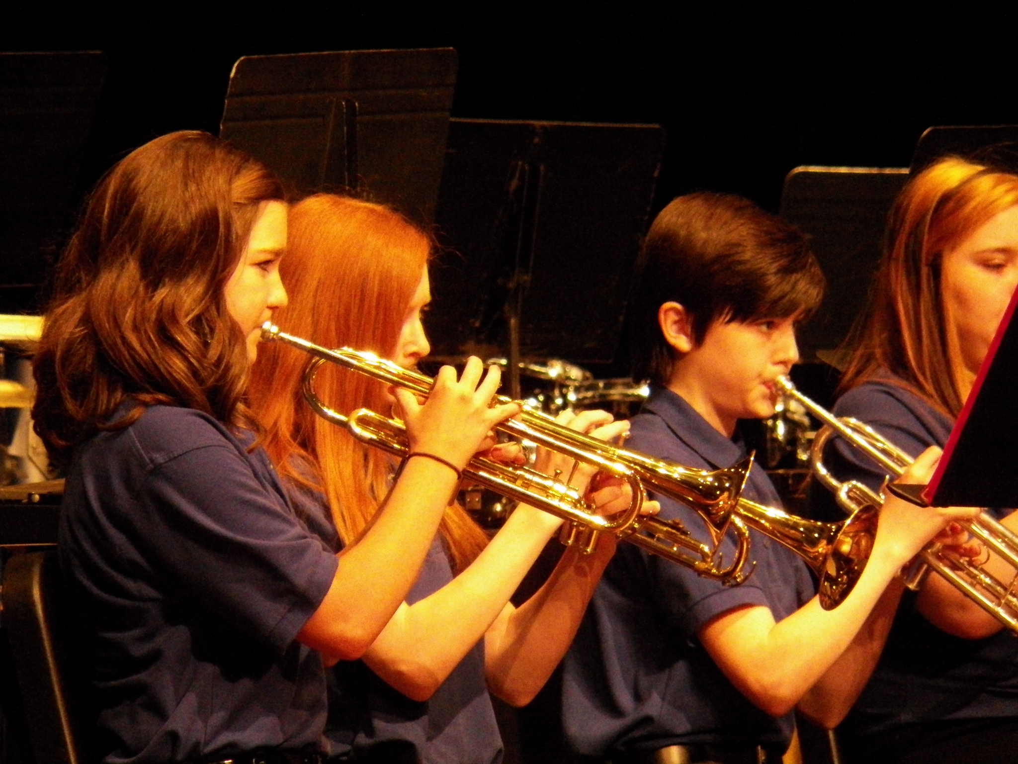 Download Winter Concert 2013 (2048Wx1536H)