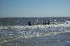 beach group (1800Wx1200H) - pictures of our sunday morning devotional experience and just fun on the beach!!! 